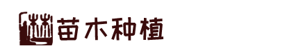 在线玩真人赌场游戏